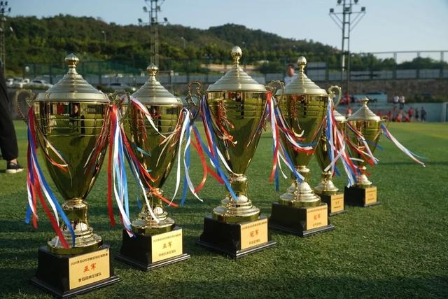 阿根廷仅7人参加过上届世界杯 梅西5次参加排第一
